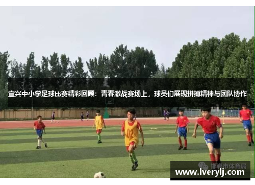 宜兴中小学足球比赛精彩回顾：青春激战赛场上，球员们展现拼搏精神与团队协作